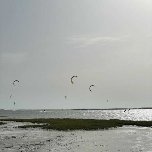 manoelmarcelods@gmail.com