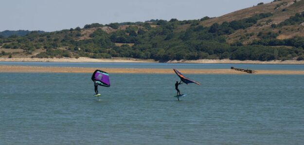 Donostiwingkite_Ongi